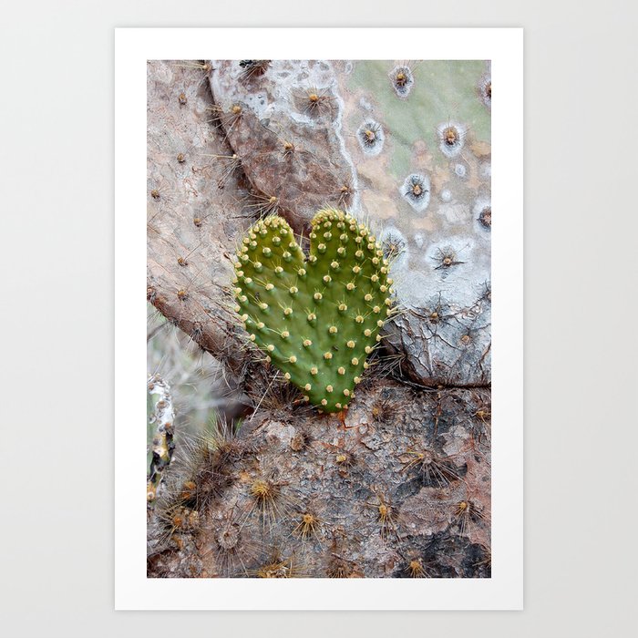 Cactus Heart Print
